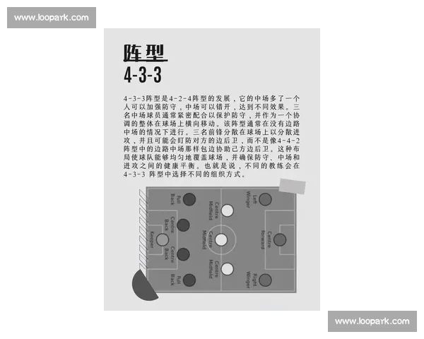 全面解析本赛季足球比赛战术走势与球队实力对比